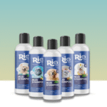 شامبوهات الطين البحر الميت