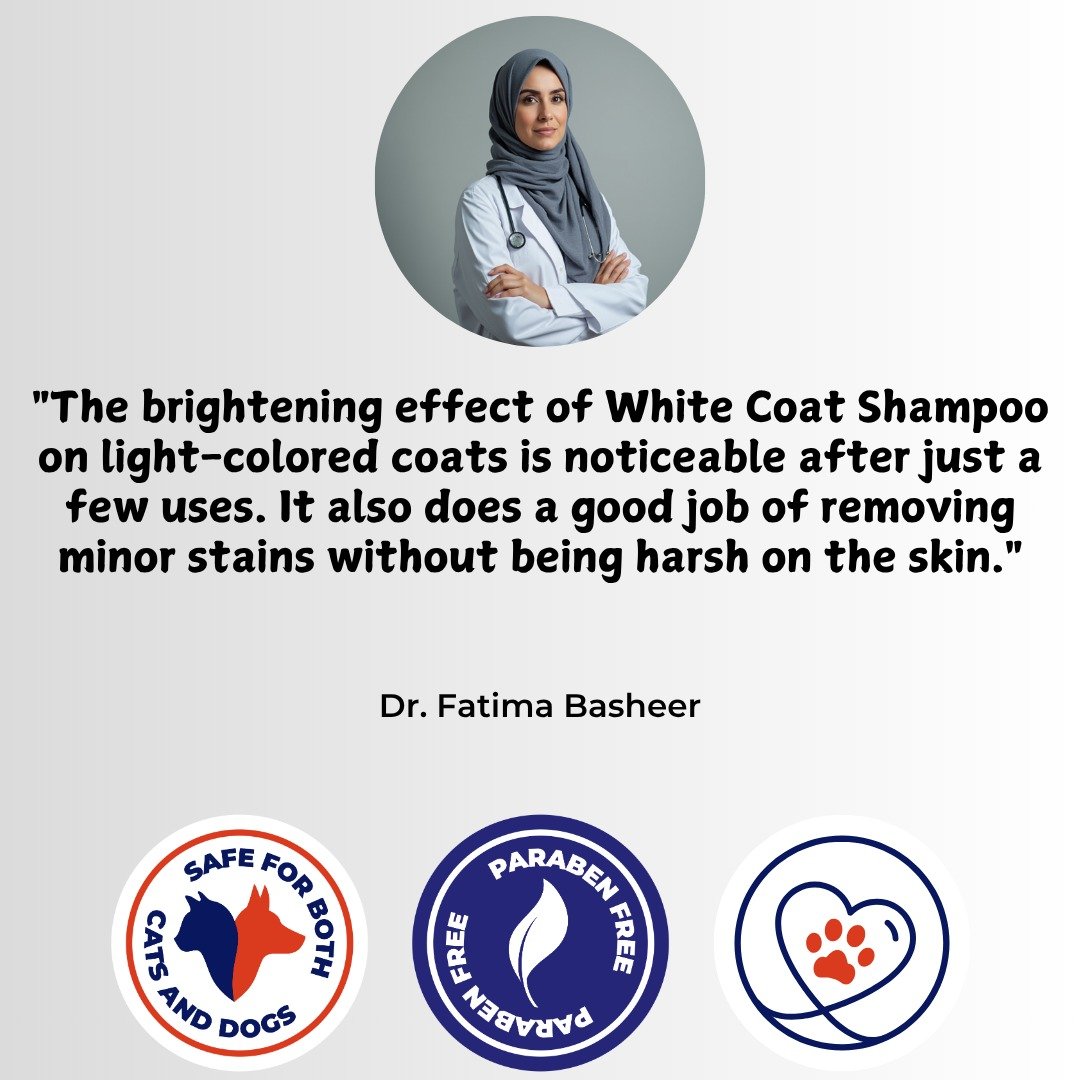 WhatsApp Image 2025-11-27 at 15.49.22_0737ac3d