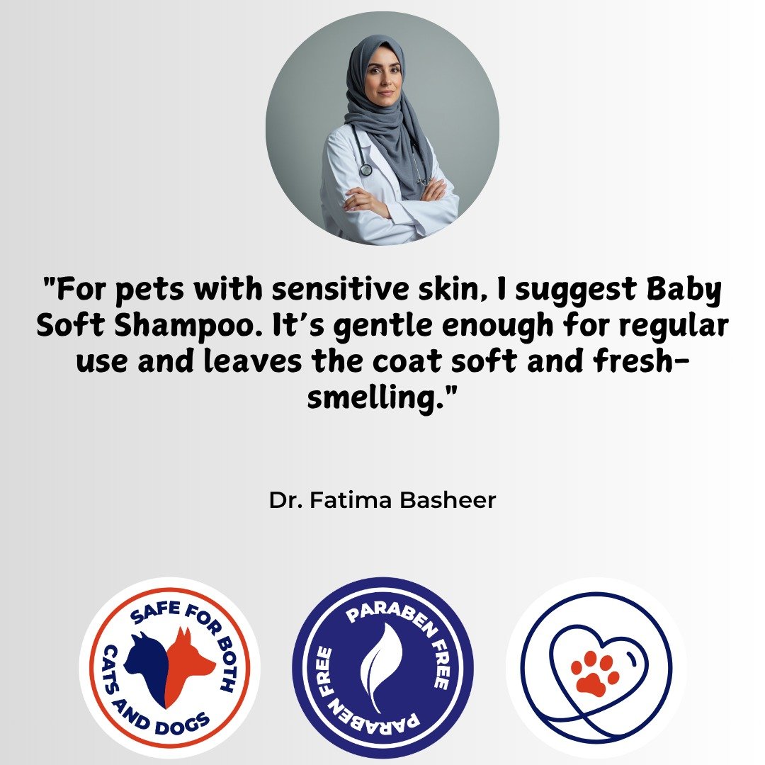 WhatsApp Image 2025-11-27 at 15.49.22_1c621a03