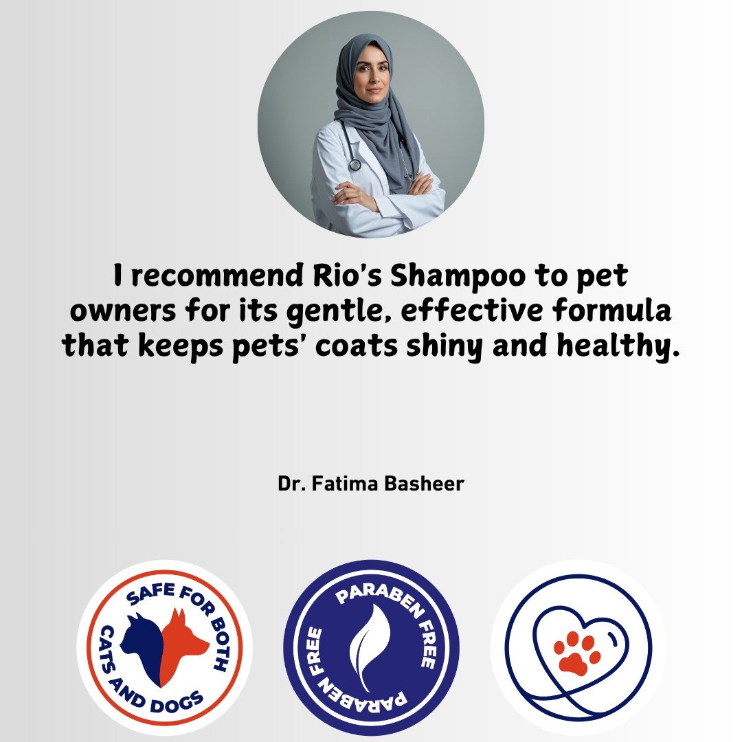 WhatsApp Image 2025-11-27 at 15.49.22_58deb882