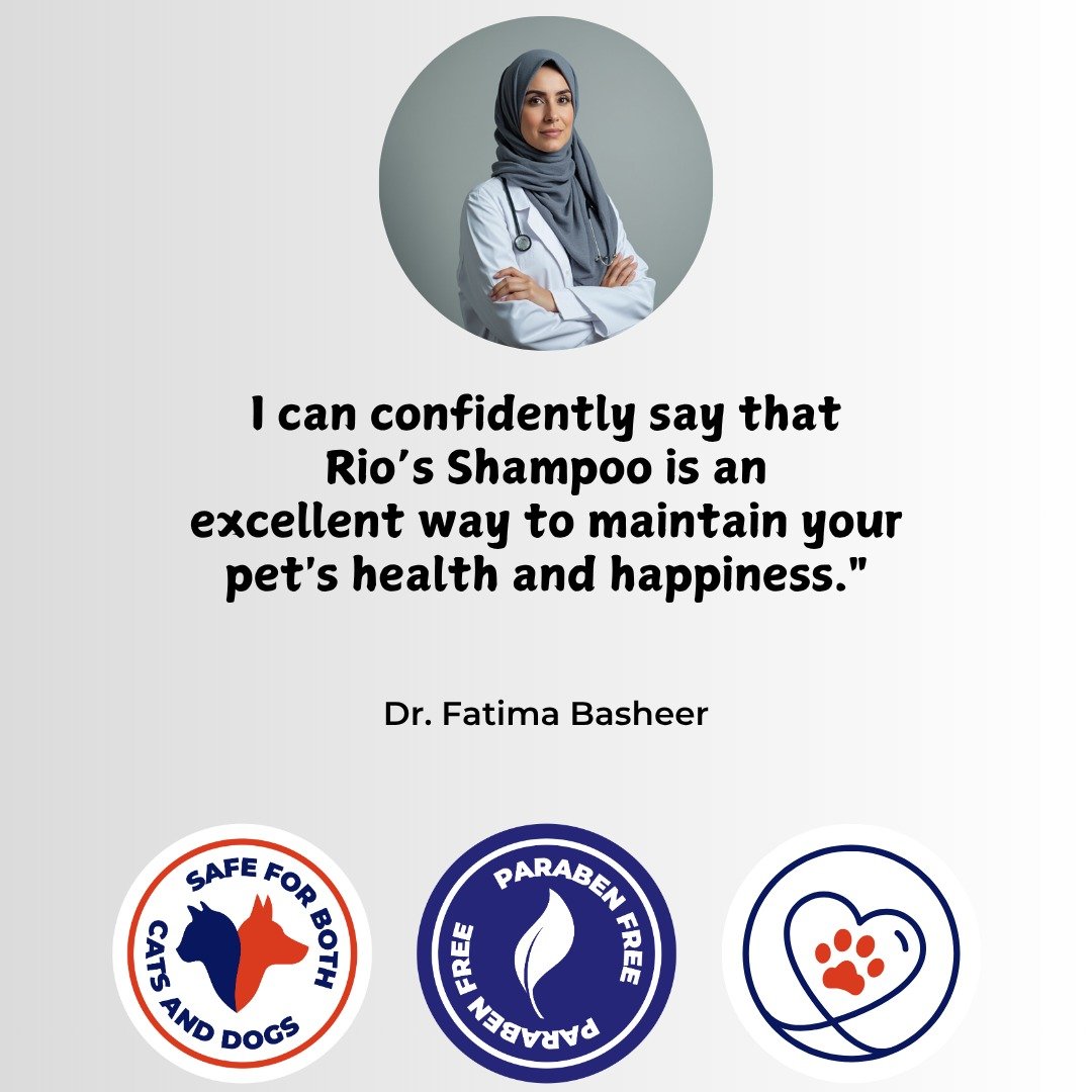 WhatsApp Image 2025-11-27 at 15.49.22_f78a64c5