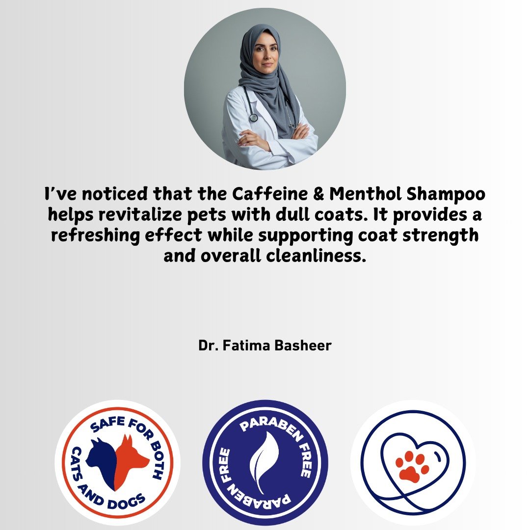 WhatsApp Image 2025-11-27 at 15.49.23_017d1d5a