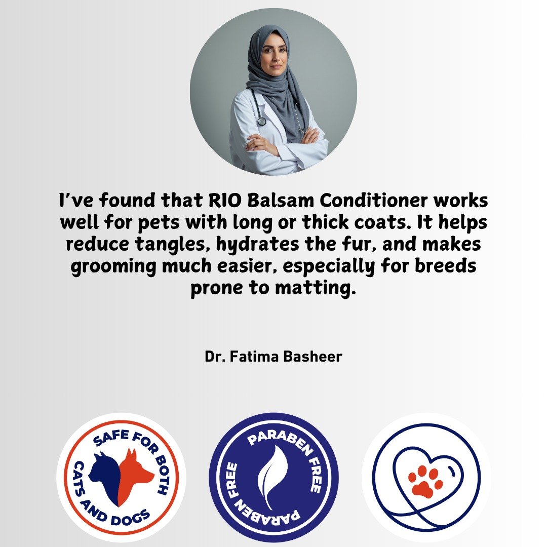 WhatsApp Image 2025-11-27 at 15.49.23_056bb8f6