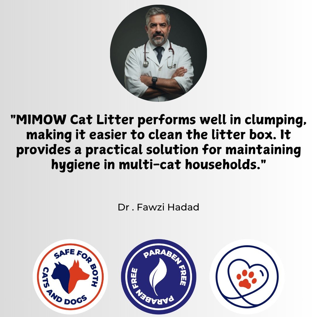 WhatsApp Image 2025-11-27 at 15.49.23_65371e8a