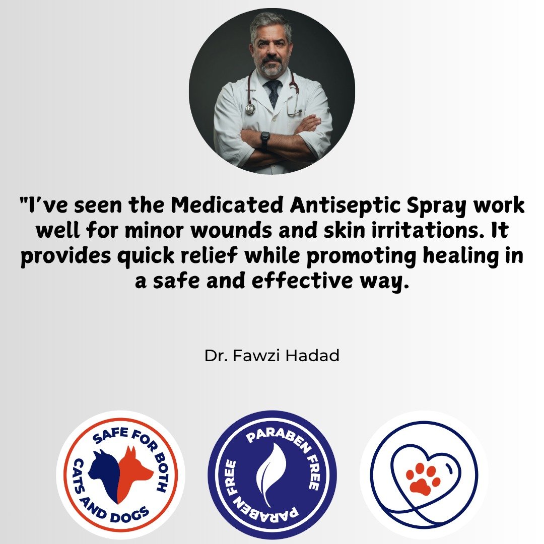 WhatsApp Image 2025-11-27 at 15.49.23_9c061d1c