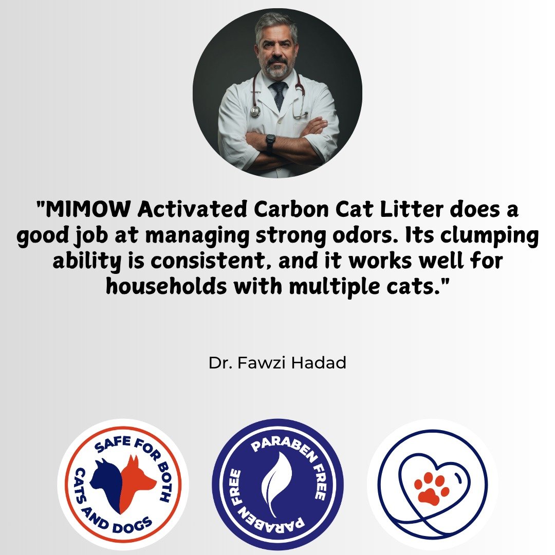 WhatsApp Image 2025-11-27 at 15.49.23_b6114d4c