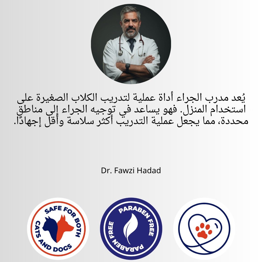 WhatsApp Image 2025-11-27 at 15.52.00_623c2e1b